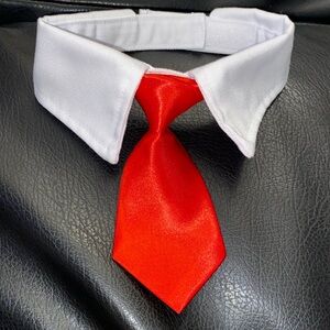 Velcro Collar&Tie